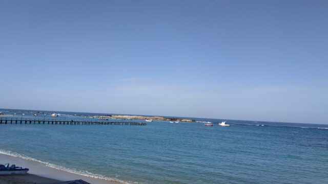 Google Photo 2