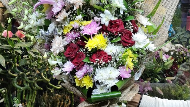 Google Photo 4