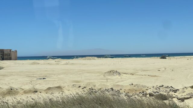 Google Photo 4