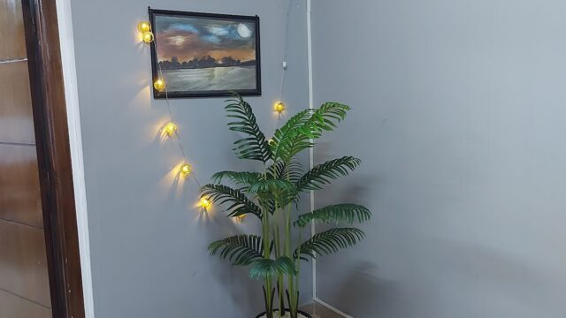 Google Photo 5