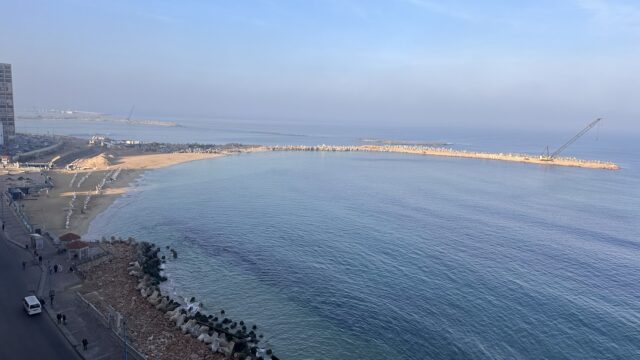 Google Photo 5