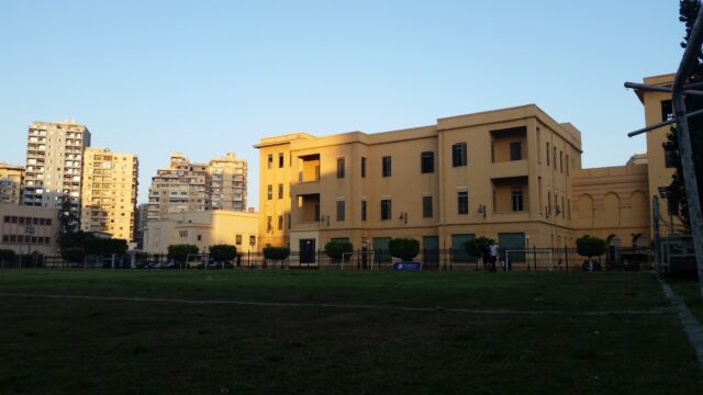 Google Photo 4
