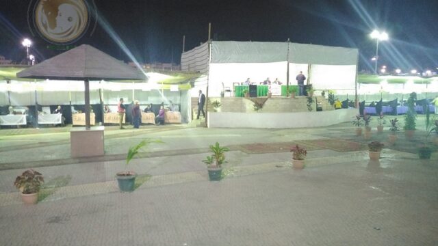 Google Photo 5