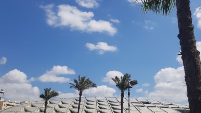 Google Photo 2