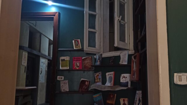 Google Photo 5