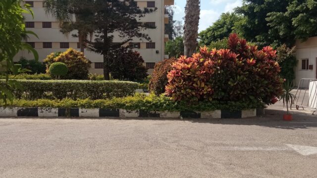 Google Photo 1