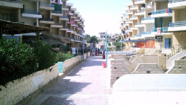 Google Photo 4