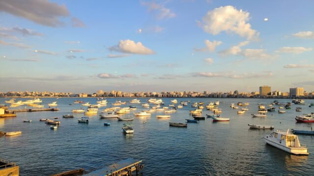 Google Photo 4