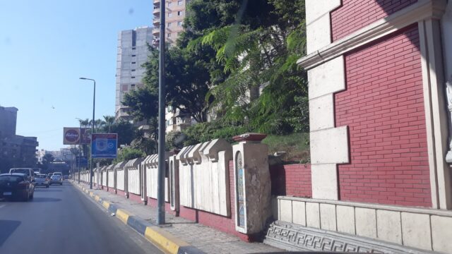 Google Photo 2