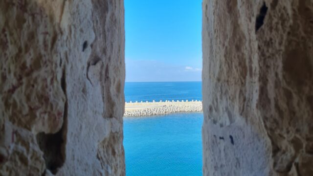 Google Photo 2