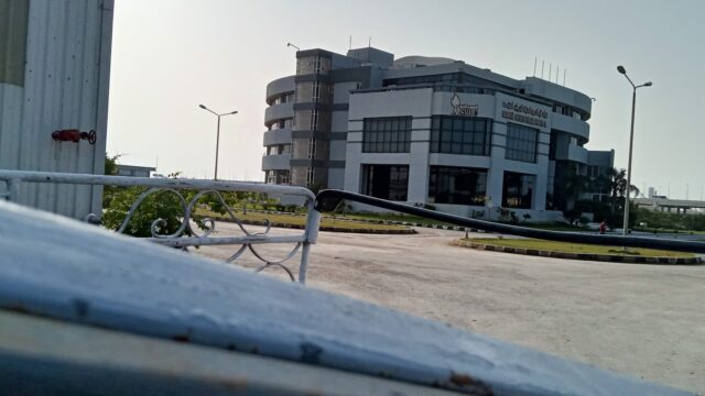 Google Photo 2