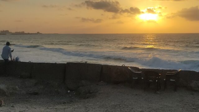 Google Photo 2