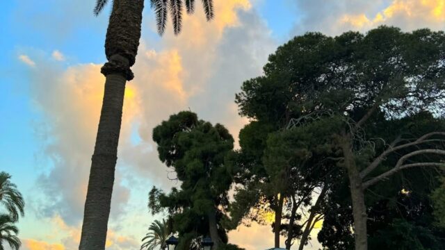 Google Photo 5