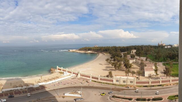 Google Photo 5