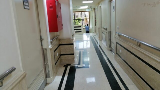 Google Photo 5