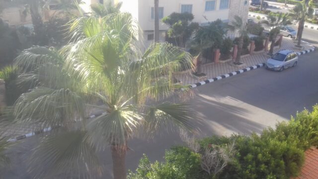 Google Photo 4