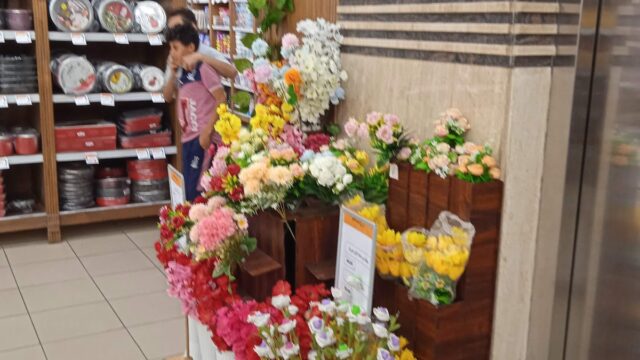Google Photo 4