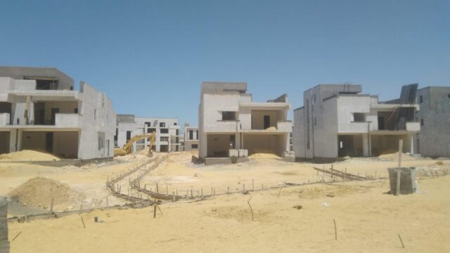 Google Photo 1