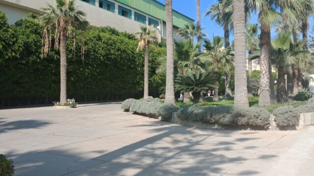 Google Photo 4