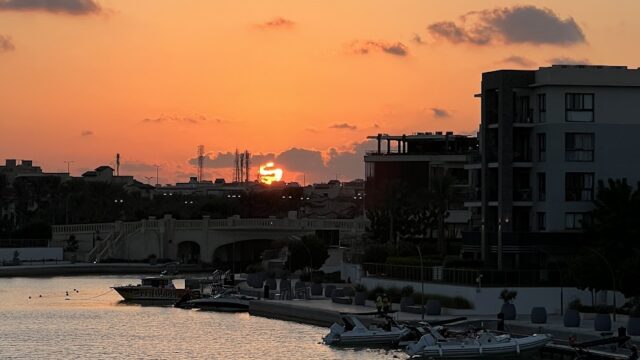 Google Photo 3