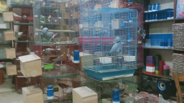 Google Photo 1