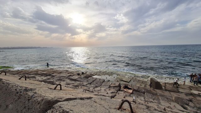 Google Photo 5