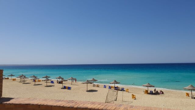 Google Photo 2