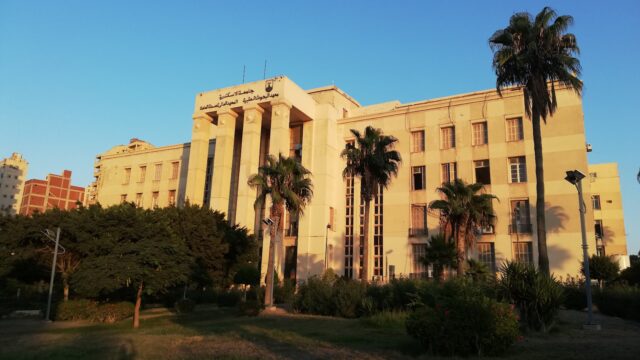 Google Photo 3