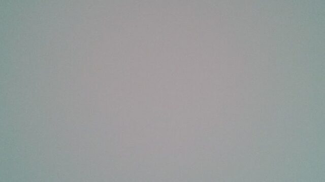 Google Photo 2