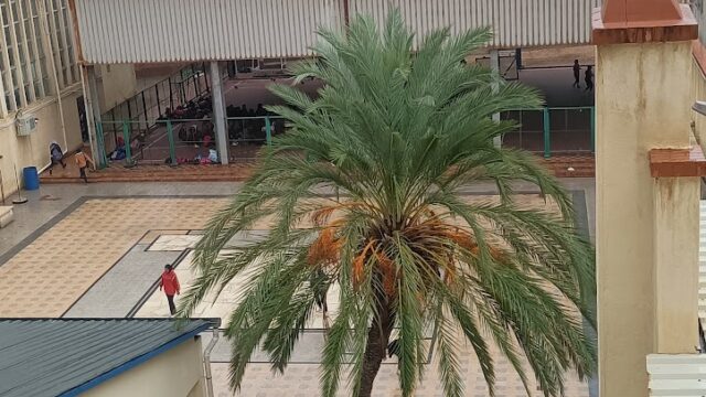 Google Photo 5