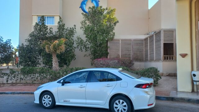 Google Photo 4