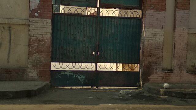 Google Photo 1