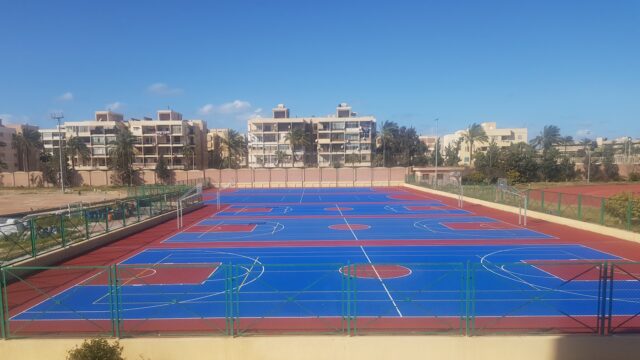 Google Photo 5