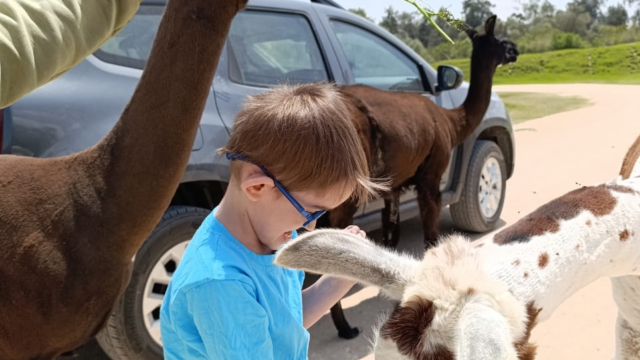 Google Photo 5