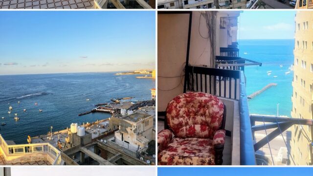 Google Photo 4