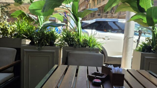 Google Photo 5