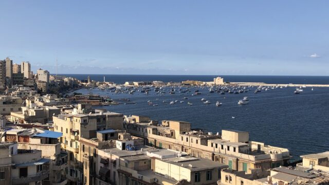 Google Photo 1