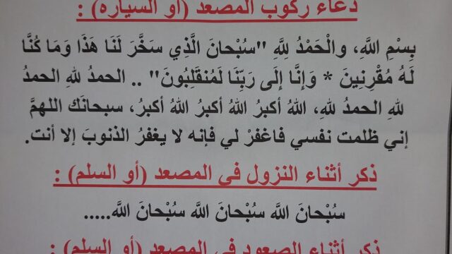 Google Photo 3