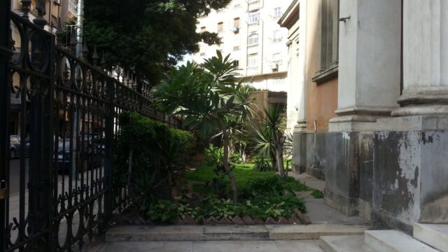 Google Photo 4