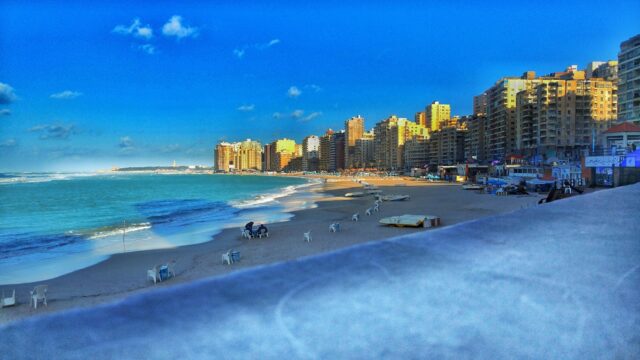 Google Photo 1