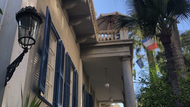 Google Photo 1
