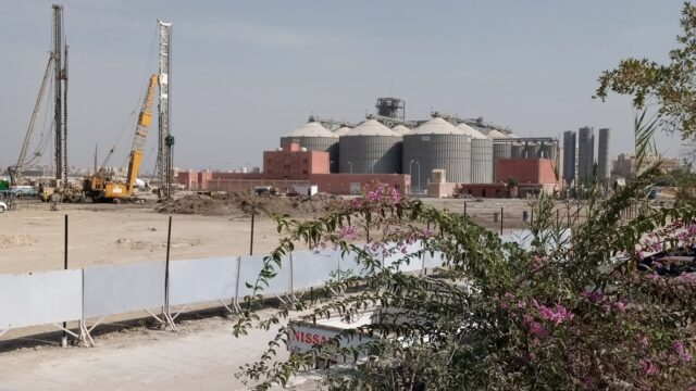 Google Photo 4