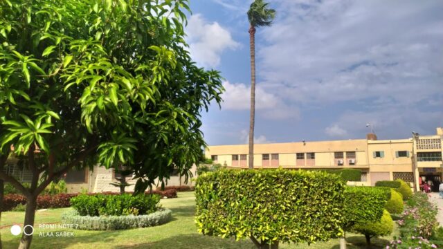 Google Photo 1