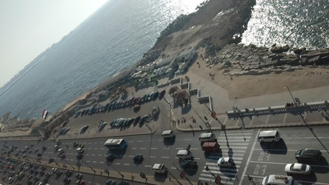Google Photo 5
