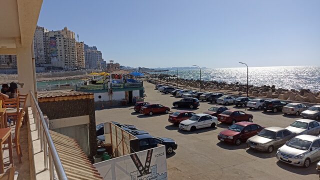 Google Photo 5