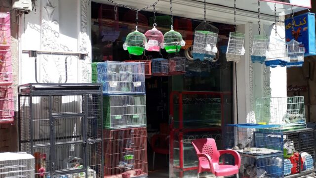 Google Photo 1