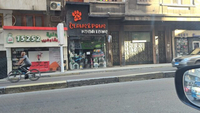 Google Photo 2