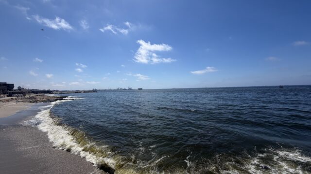Google Photo 3