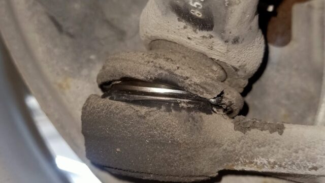 Google Photo 3