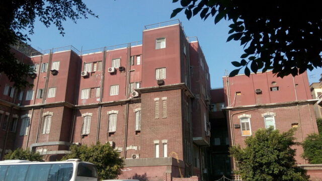 Google Photo 2